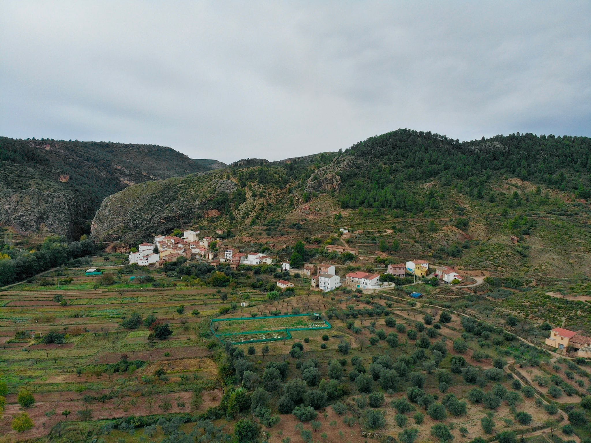 ¿Qué es ACSO? - ACSO La Olmeda – Asociación Cultural y Social de La Olmeda